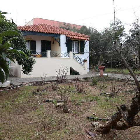 Babis Garden Salamina