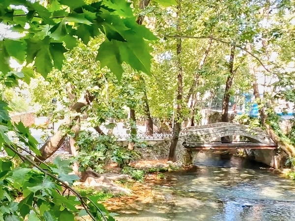 Family-Friendly Activities in Livadia Town