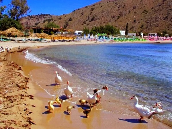 Georgioupolis - Chania - Crete