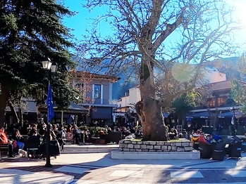 Winter Escapes in Kalavryta: Skiing and Heritage in the Peloponnese