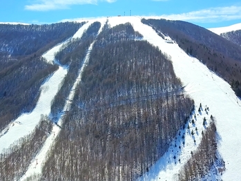 Winter Escapes in Tria-Pente Pigadia: Ski Slopes and Forest Views