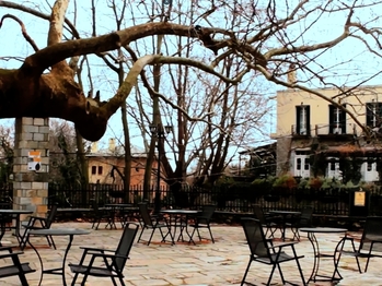 Winter Escapes in Tsagarada: Chestnut Forests and Cozy Inns