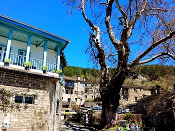 Winter Escapes in Tsepelovo: Traditional Village in Zagori
