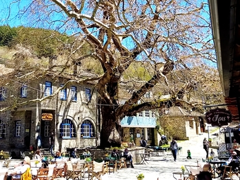 Winter Escapes in Tsepelovo: Traditional Village in Zagori