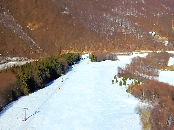 Winter Escapes in Tria-Pente Pigadia: Ski Slopes and Forest Views