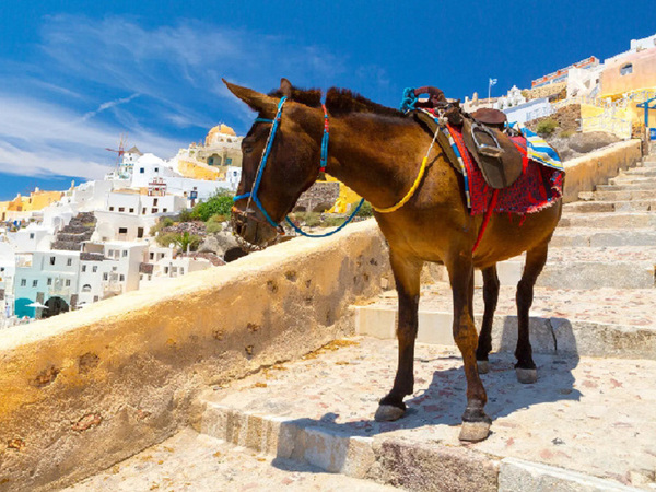 8 Interesting Facts about Santorini