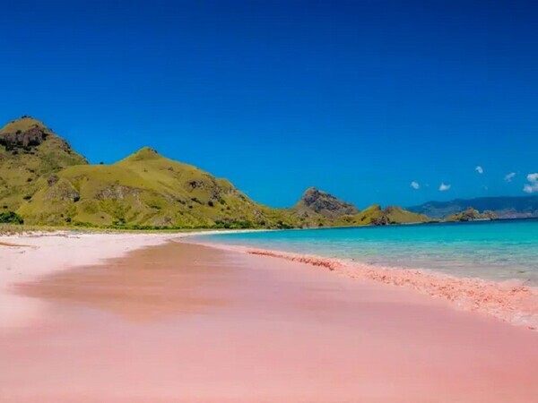 10 Wonderful Pink Beaches in the World