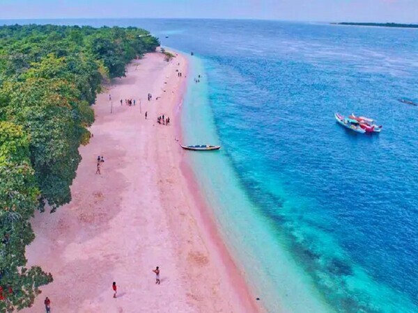 10 Wonderful Pink Beaches in the World