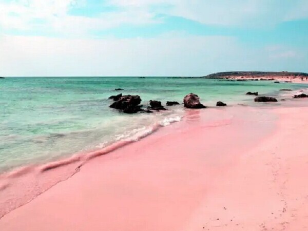 10 Wonderful Pink Beaches in the World