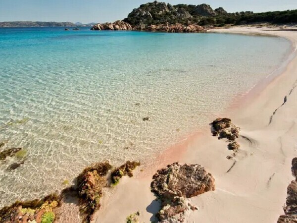 10 Wonderful Pink Beaches in the World